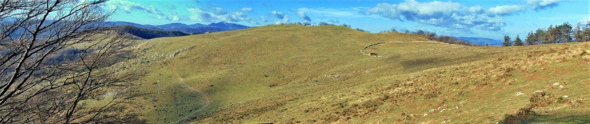 Sarastarri Ingurutik