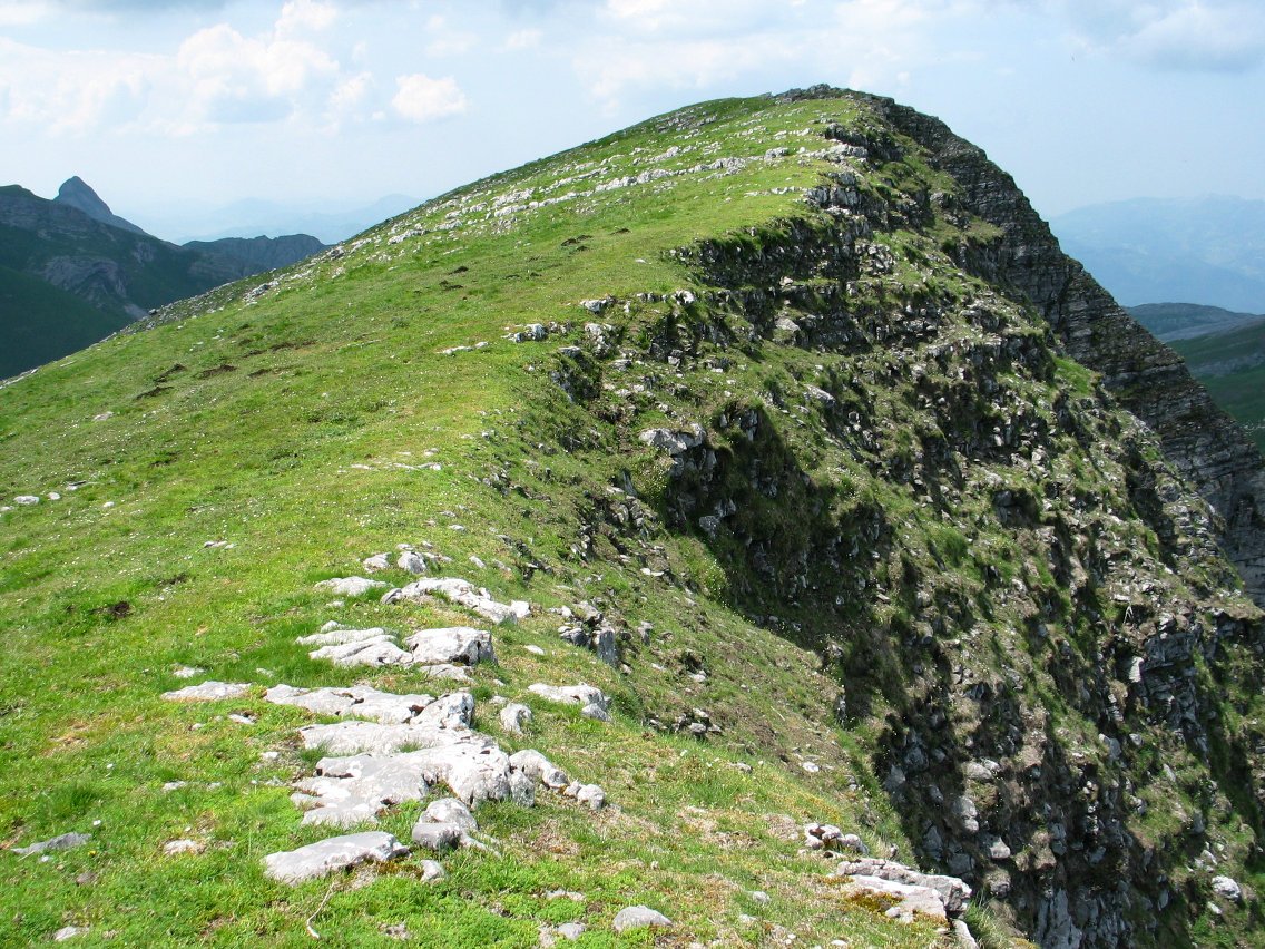 Tontorrerako bidea Aldaon aldetik