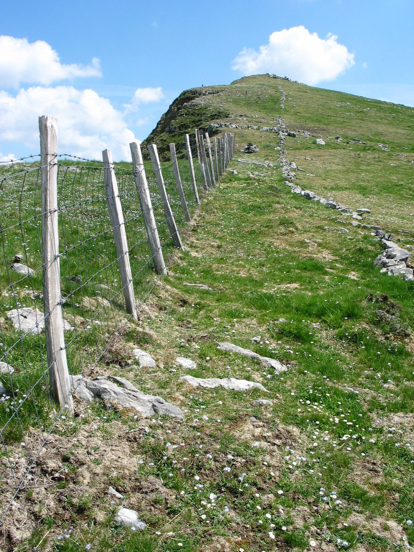 Tontorrerak bidea Uni aldetik