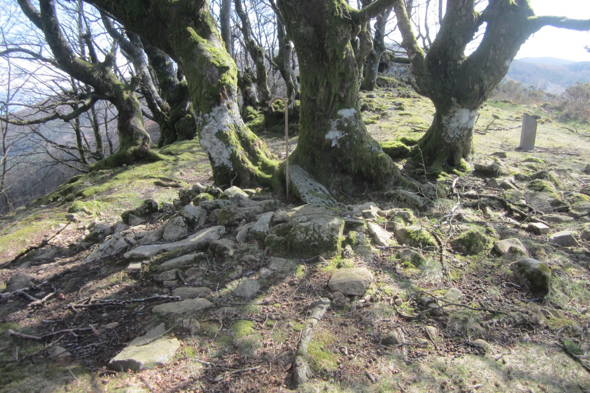 Cista Atxolin Txiki II Oeste (D. Atxolin Txiki I detrás. Marzo 2019)