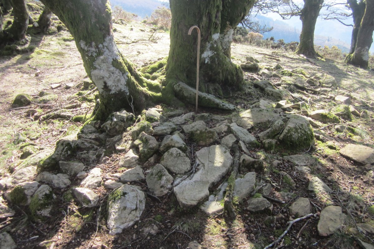 Cista Atxolin Txiki II Oeste  (Marzo 2019)