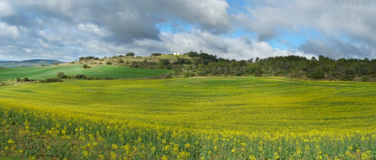 San Martin Gomazin ermita