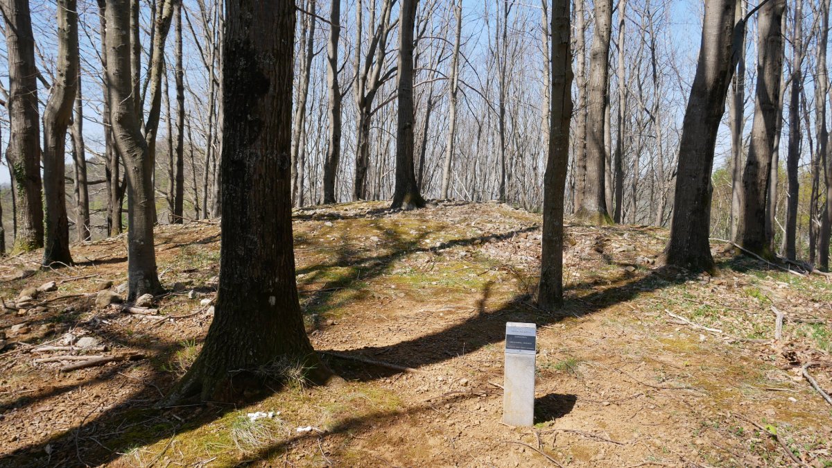 Gainzabal trikuharria