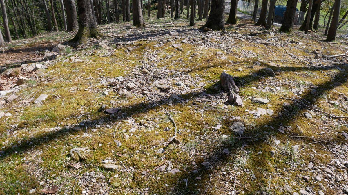 Gainzabal trikuharria