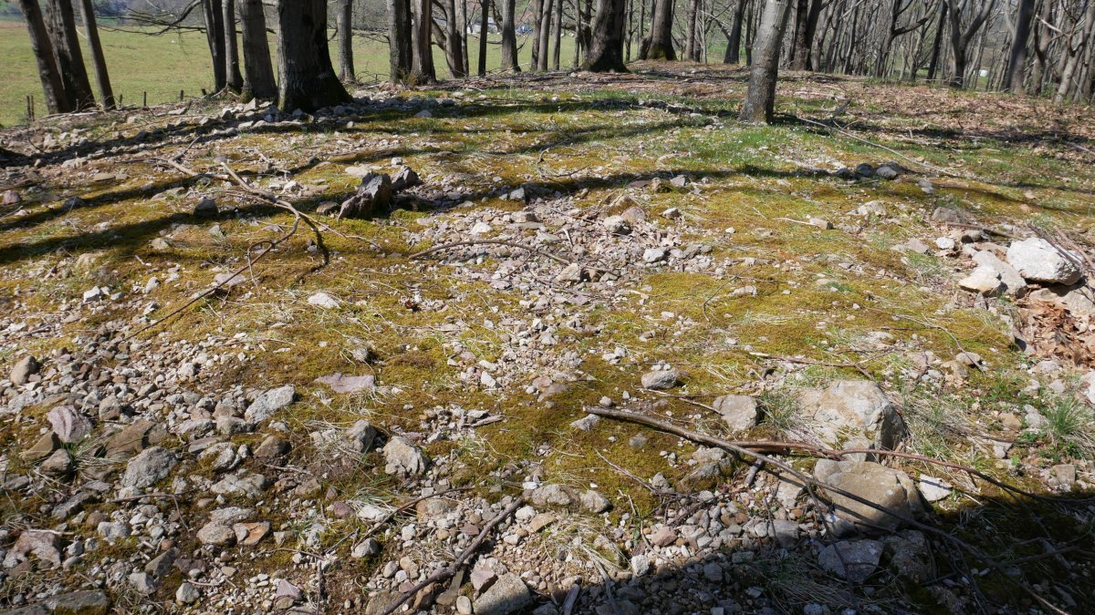 Gainzabal trikuharria