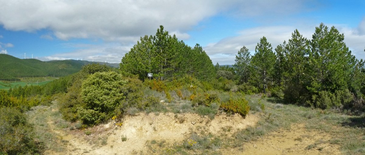 Magdalena gaineko gailurra