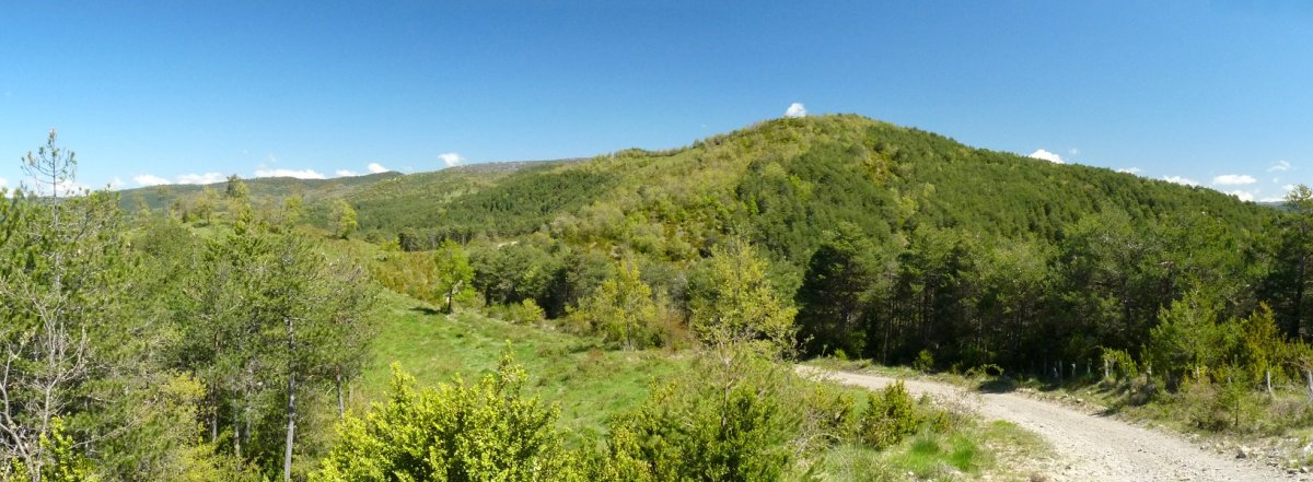 Bandera gaina hegoaldeko lepotik
