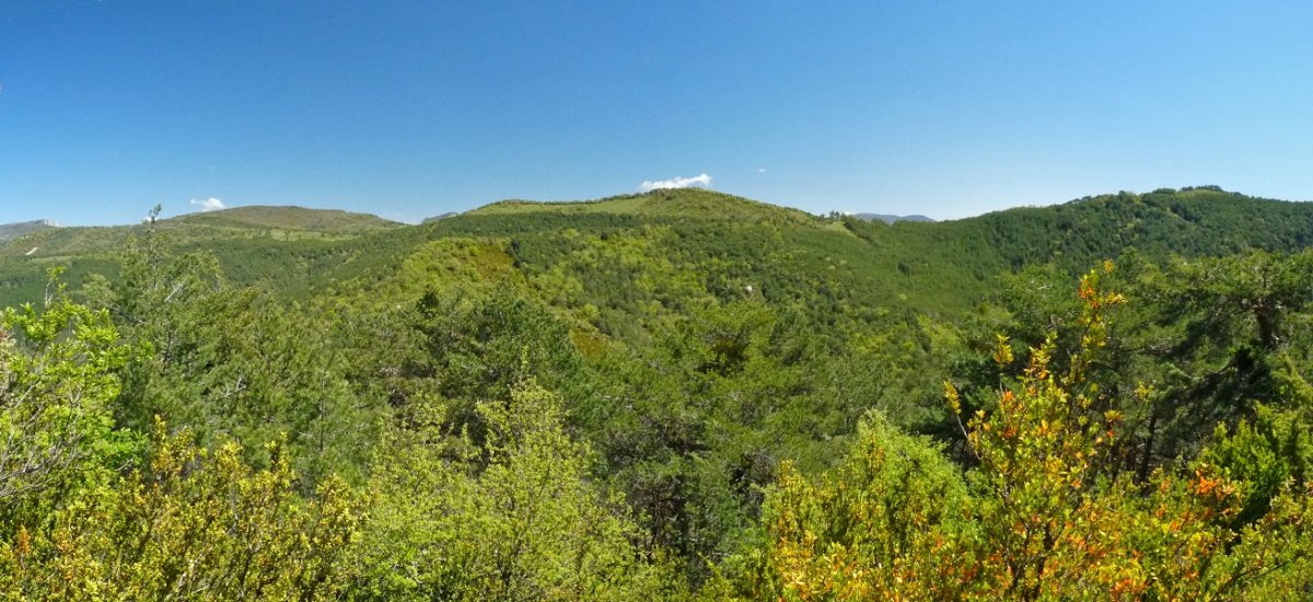 Bandera gainak mendebaldetik 