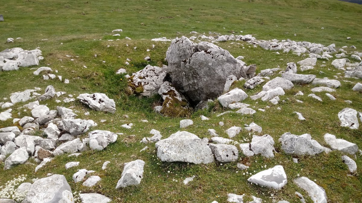 Artzanburu trikuharria 3