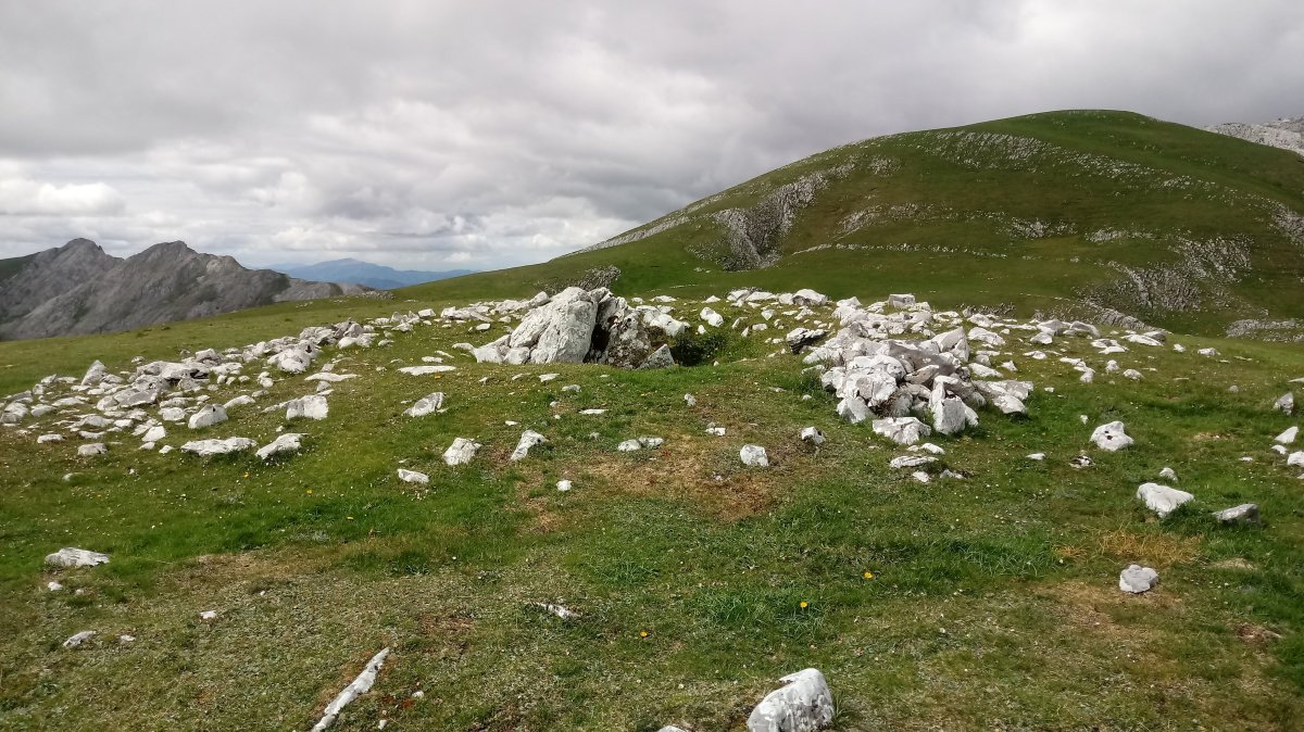 Artzanburu trikuharria (2019)