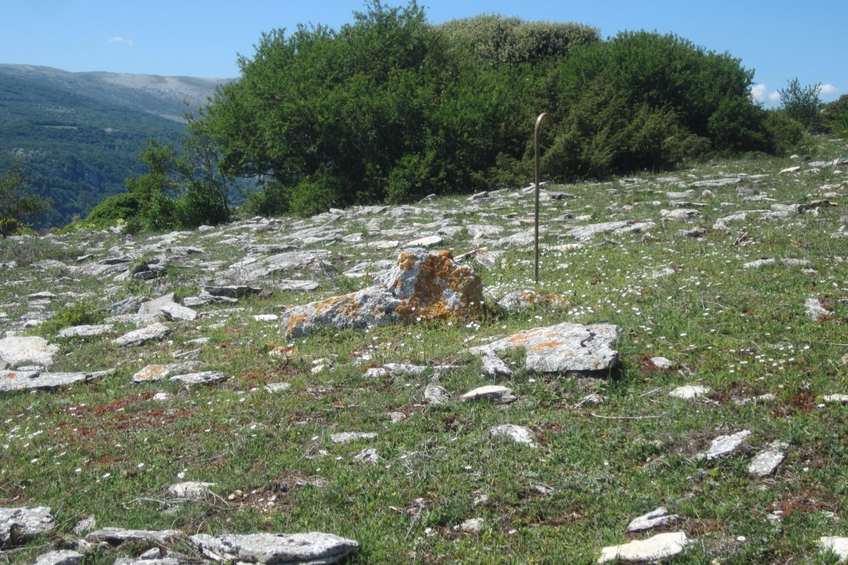 Dólmen Balsa Illarradi (Mayo 2019)