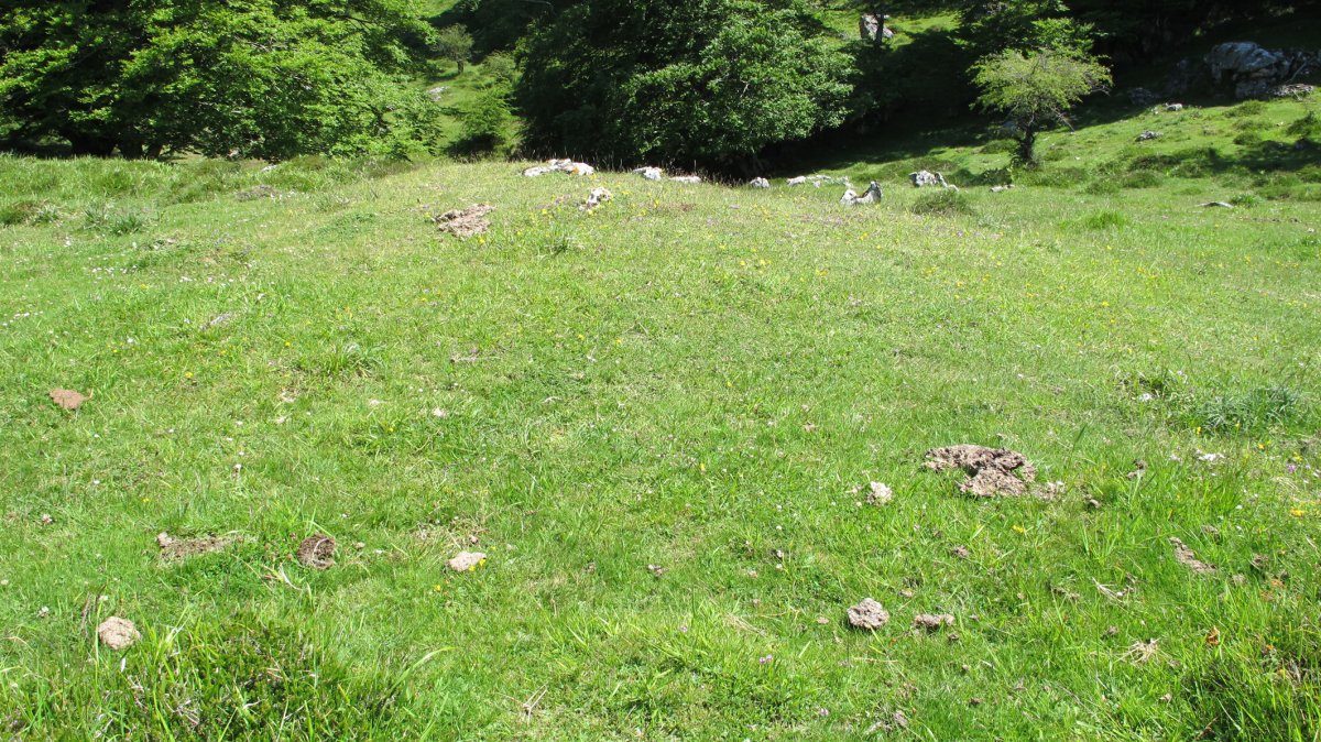 Txopordi etxola hondoa, Urbasa