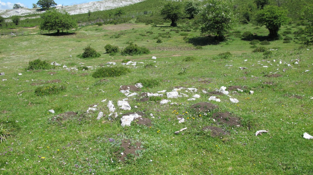 Aginan tumulua, Urbasa