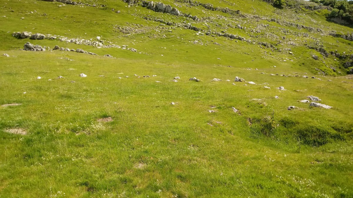 Biozkorna harrespila 2