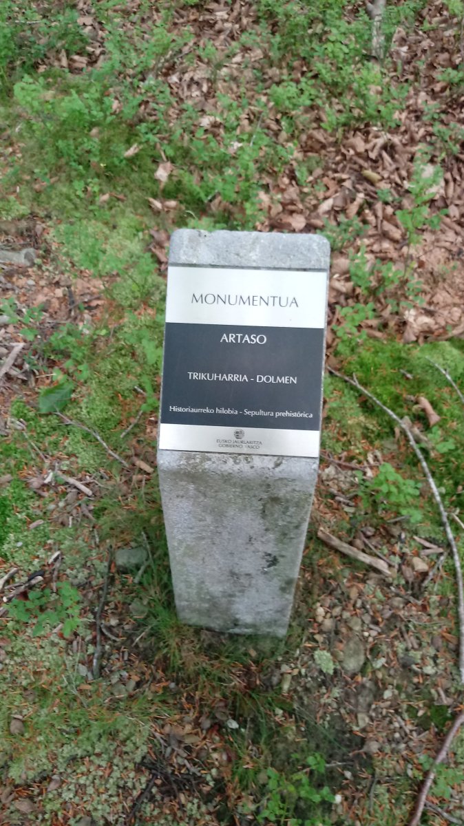 Artaso trikuharria (2019)