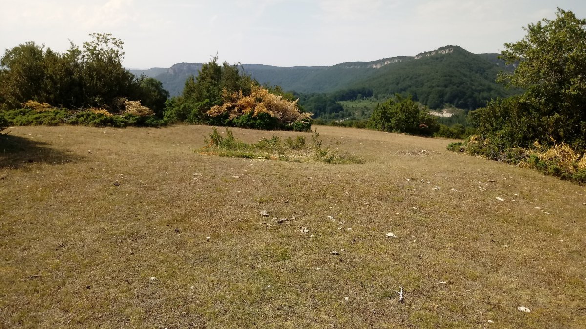 Sangris eraztun-tumuloa 3