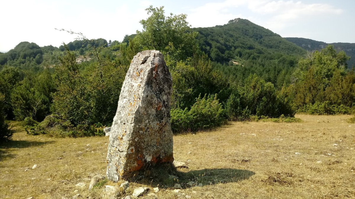 Arritirra (Larraitza) zutarria 2