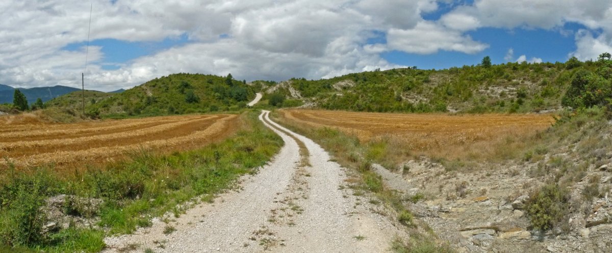 Meotz eta Exaberri arteko pista