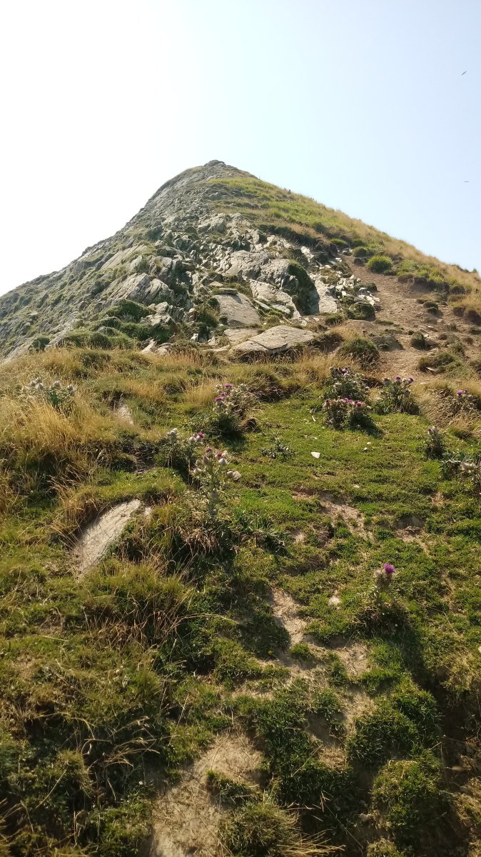 Bizkartze (1656m), azken metroak