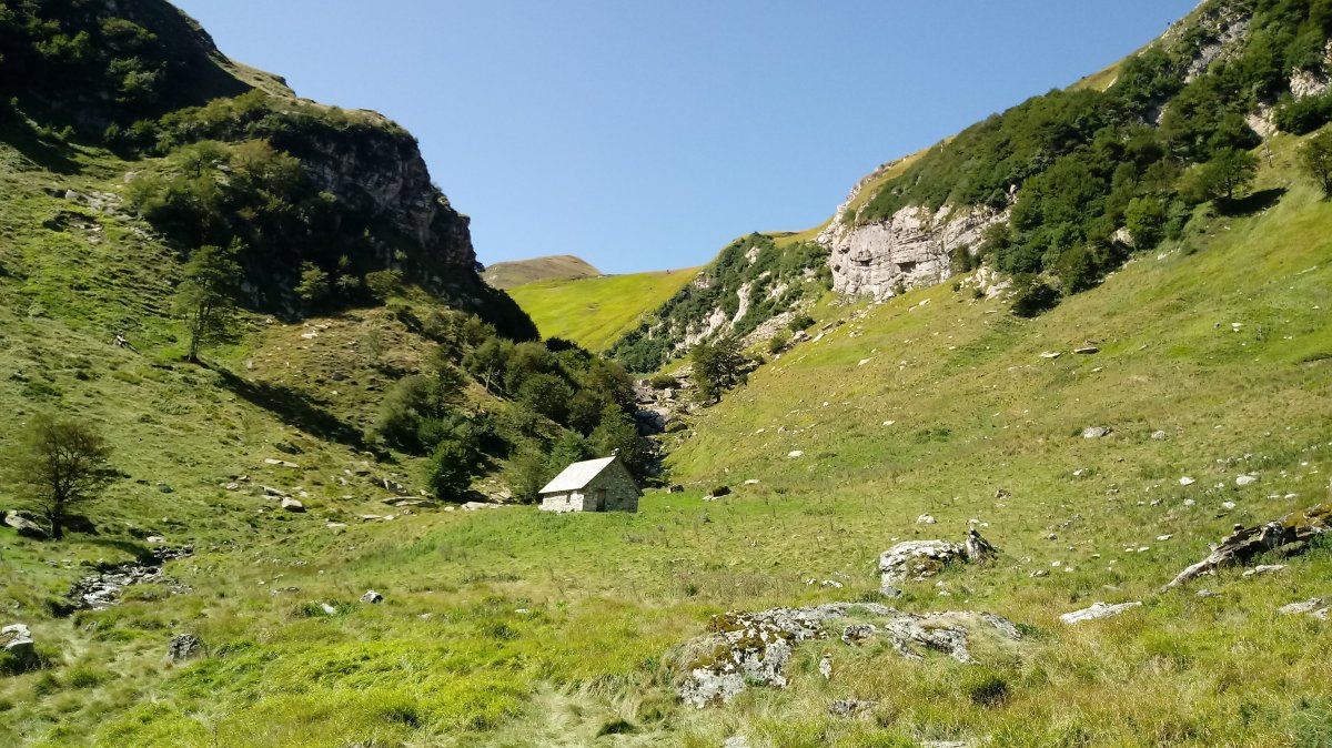 Ardanepekoa saroa eta aterbea