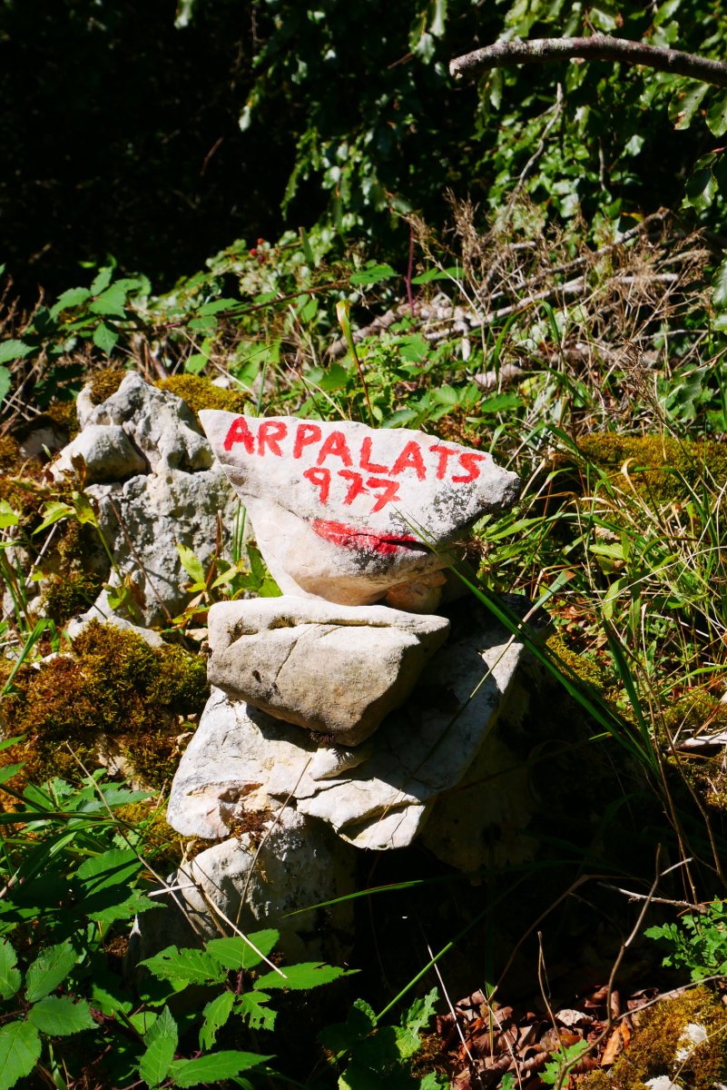 Arpalats tontoreko harripila