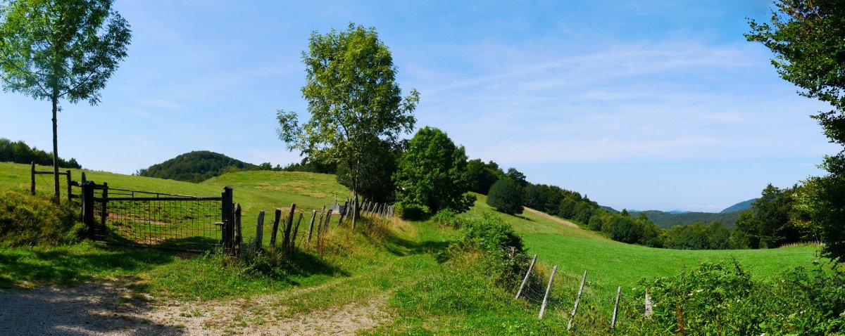 Iontza aldeko paisaia