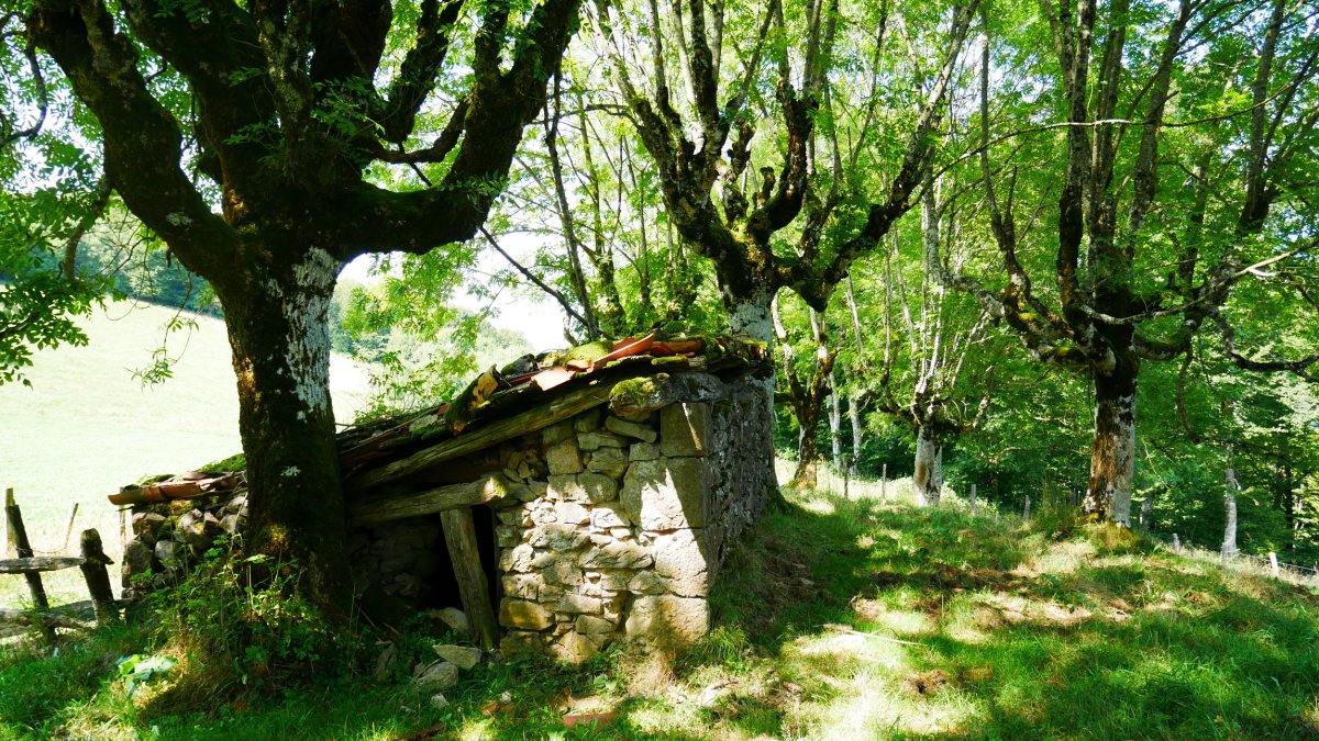 Garaiko borda txikia (aldamenean handiago baten aurriak daude)