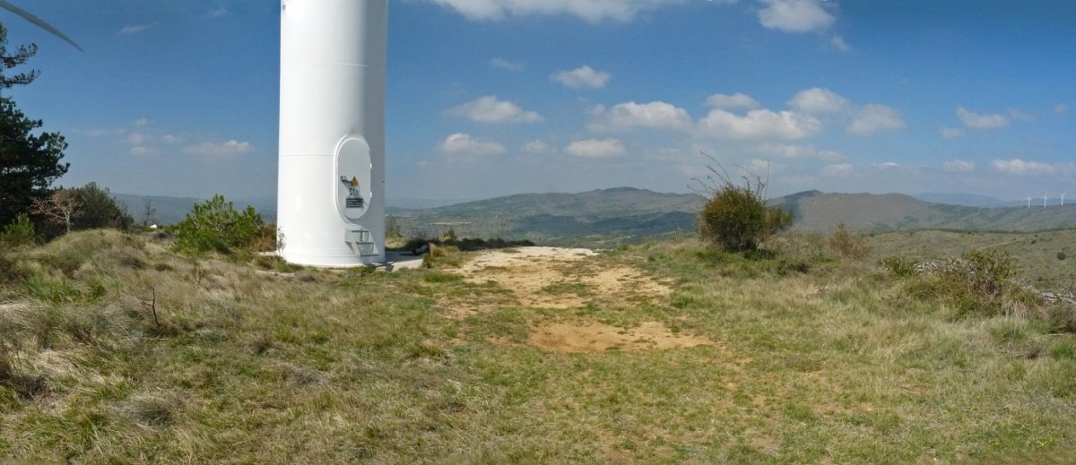 Arteldea gaineko gaina, haizerrotek hartua