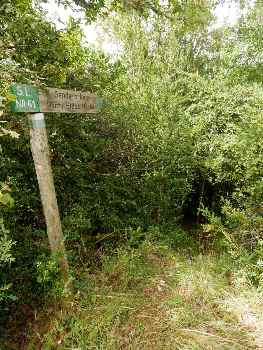 Tontorretik basora jaisten den bidearen hasiera