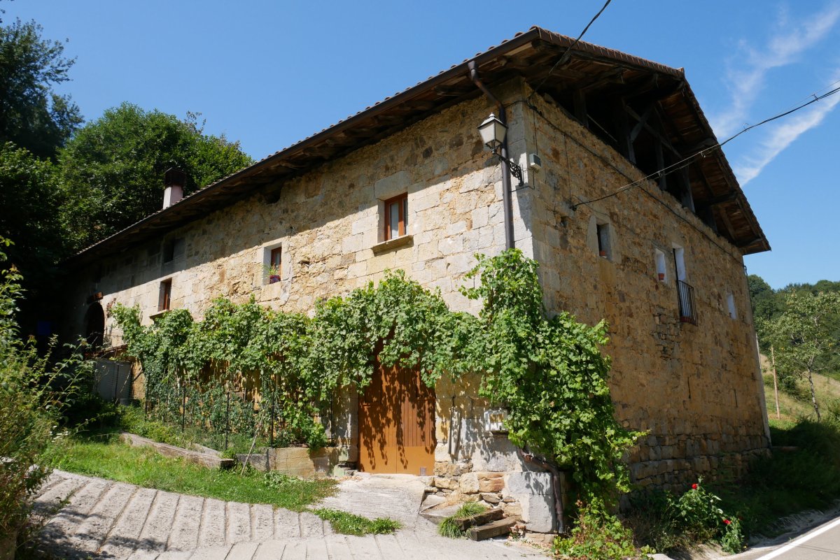 Mitxelusarrenea etxea, Intza