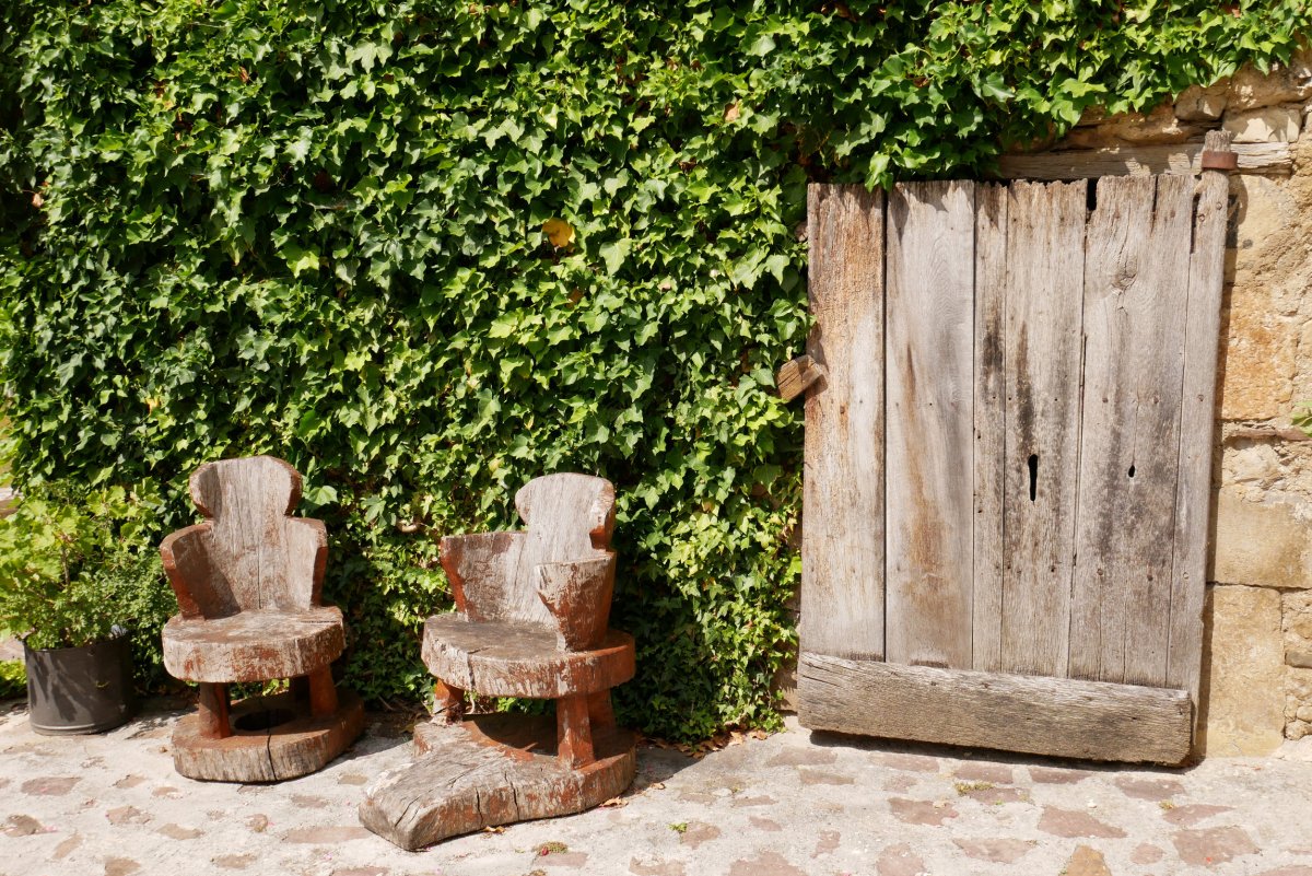 Domentx garaia, Aribe