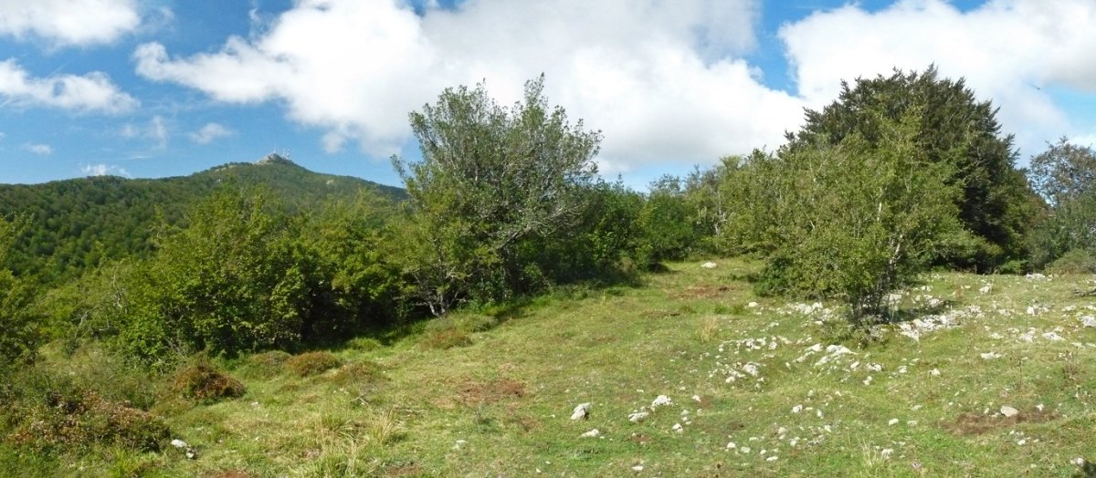 Gainaldeko argigune bat