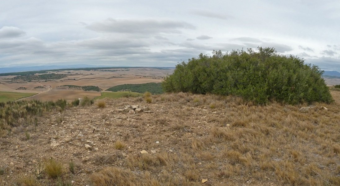 Angel mendiko gailurra