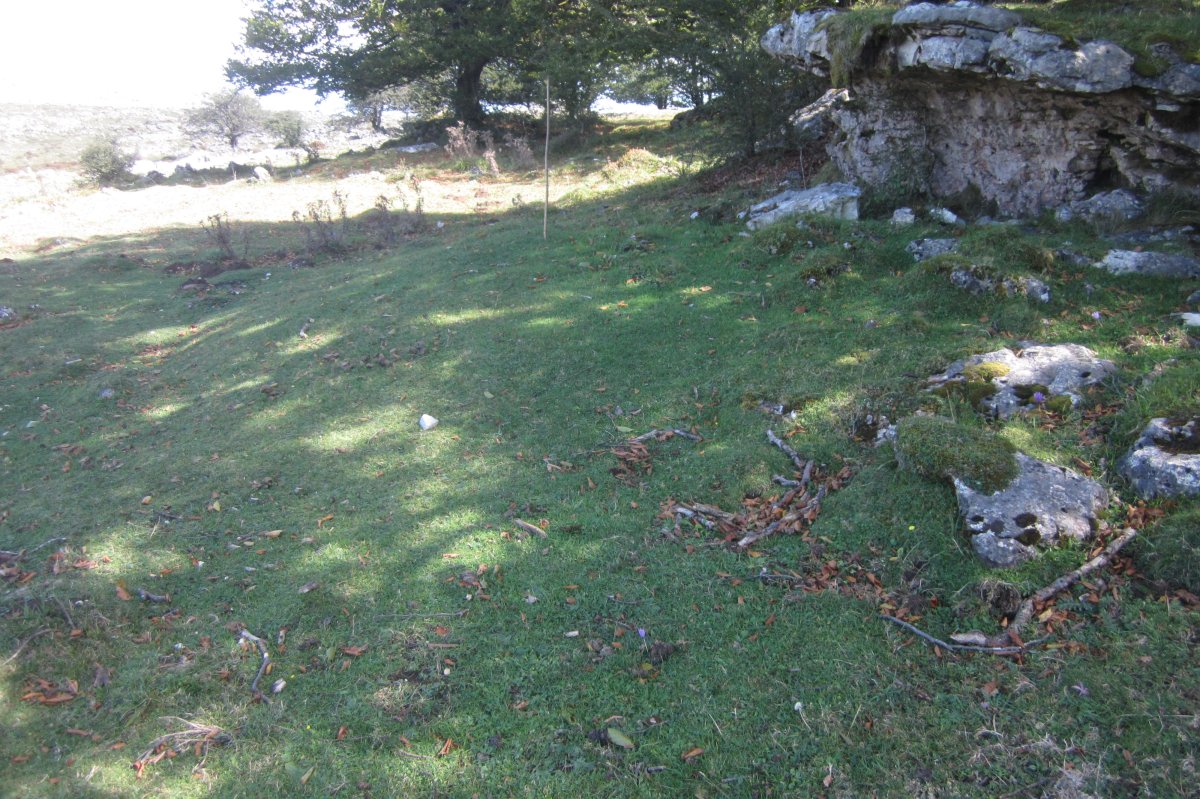 Fondo de Cabaña Gaasta  (Septiembre 2019)