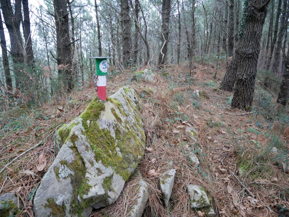 Txartelontzi berriaren tontorra