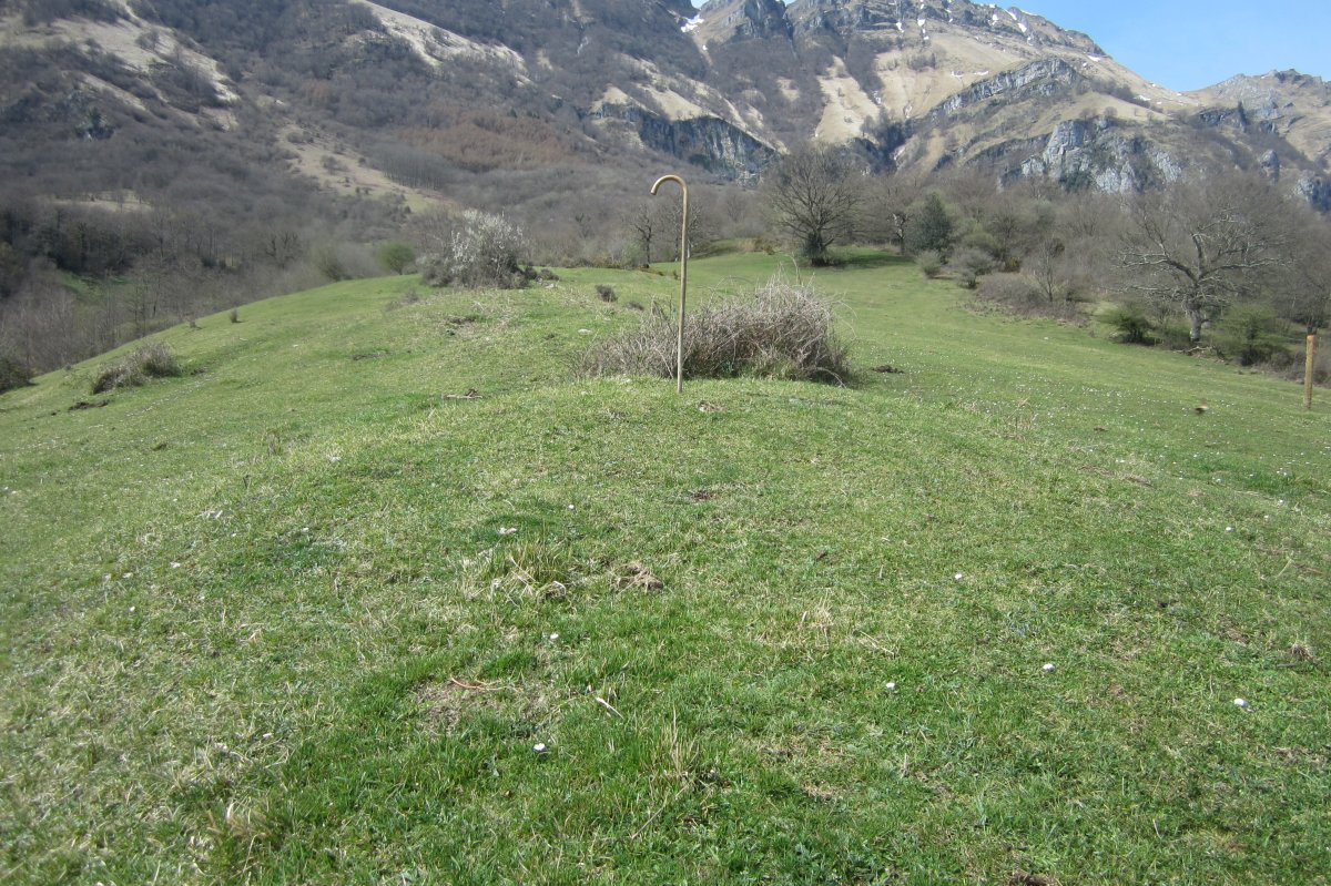 Fondos de Cabaña S. Cruz nº 6 y 5 (Abril 2018)