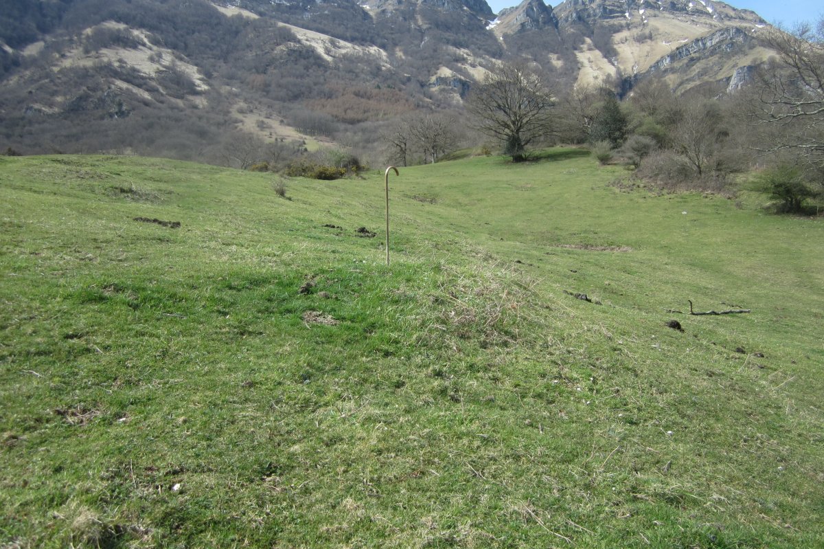 Fondo de Cabaña S. Cruz nº 8 (Abril 2018)