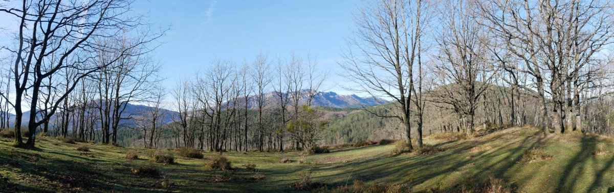 Tontorraren inguruak