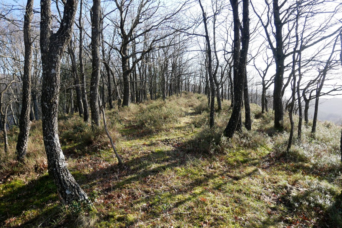 Gailurra, Mendiurkillo