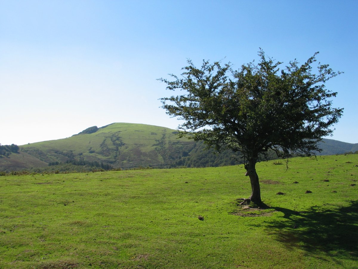Otzaurte aldeko igoeratik