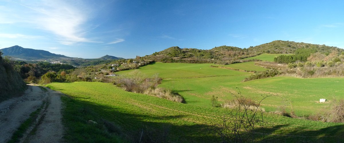 San Millango gainak Gurugutik