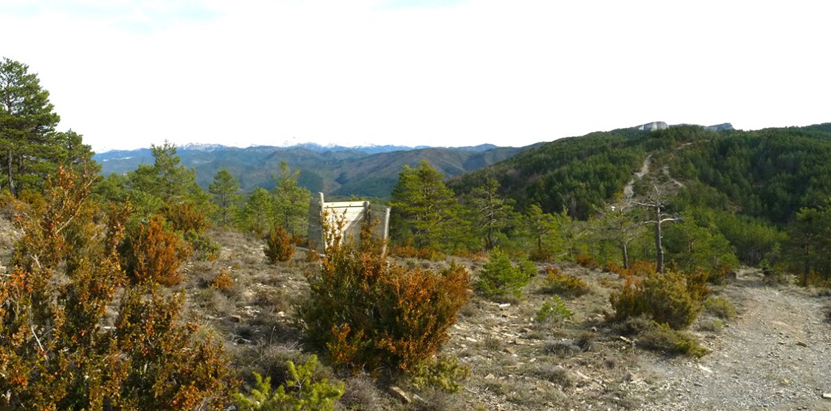 Koronas mendatearen inguruak