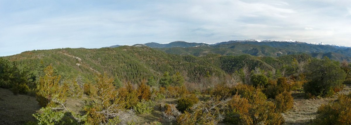 Mataperri gaina, Zegarratik ikusita