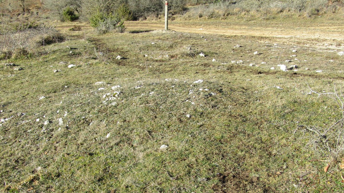 Manzuruturri 2 este tumulua, Arraia-Maeztu