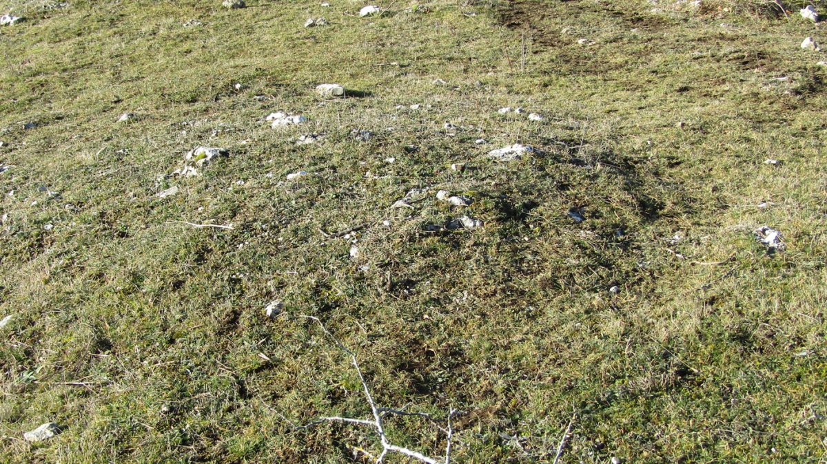 Manzuruturri 2 este tumulua, Arraia-Maeztu