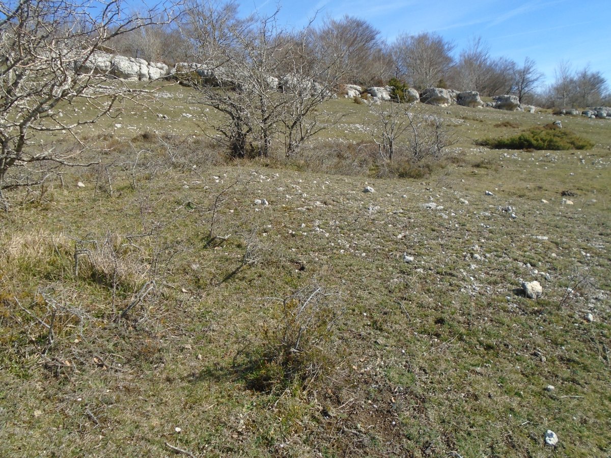balsa de manzuruturri