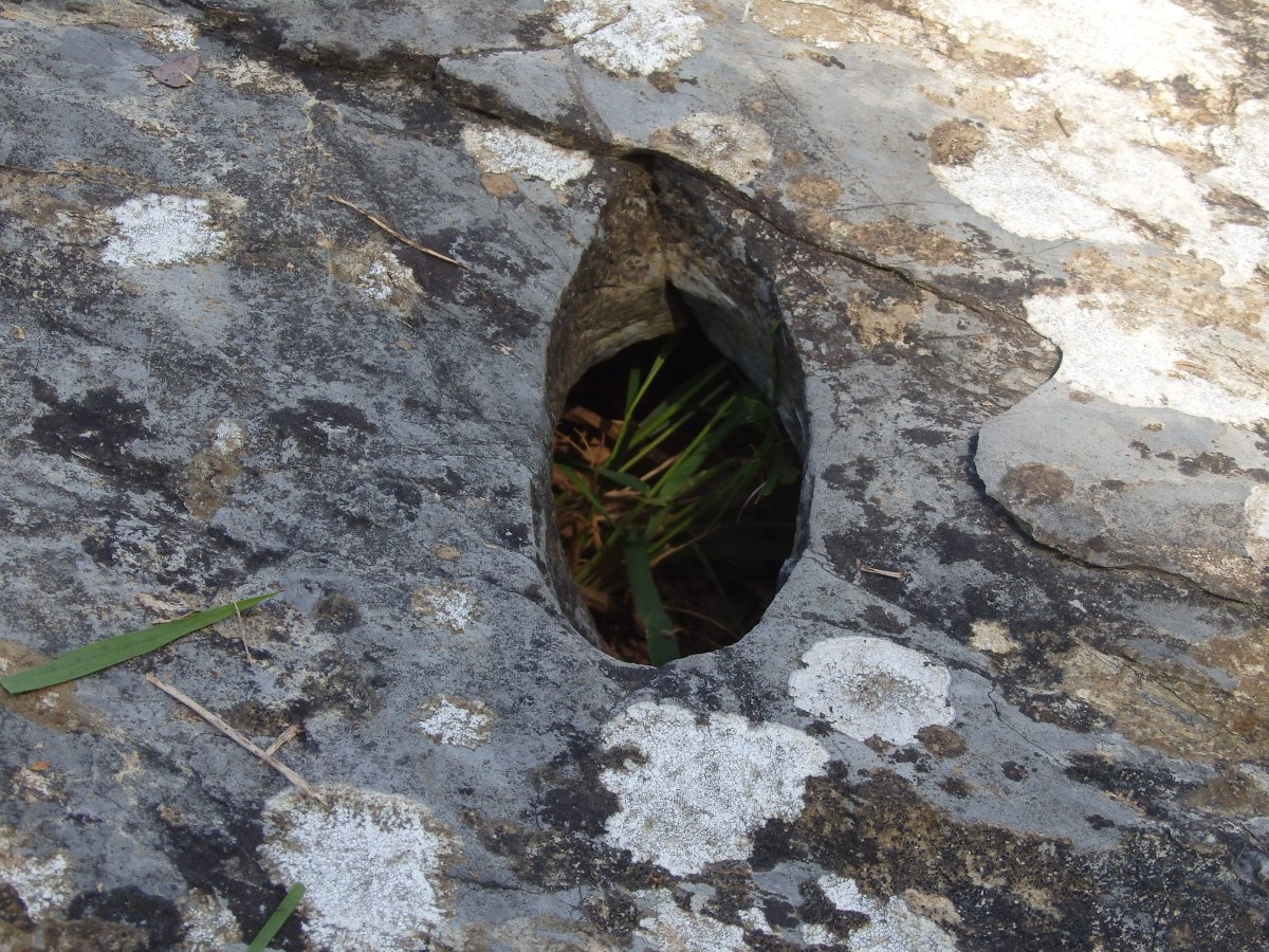 ALTZUSTABERRI II zutarri