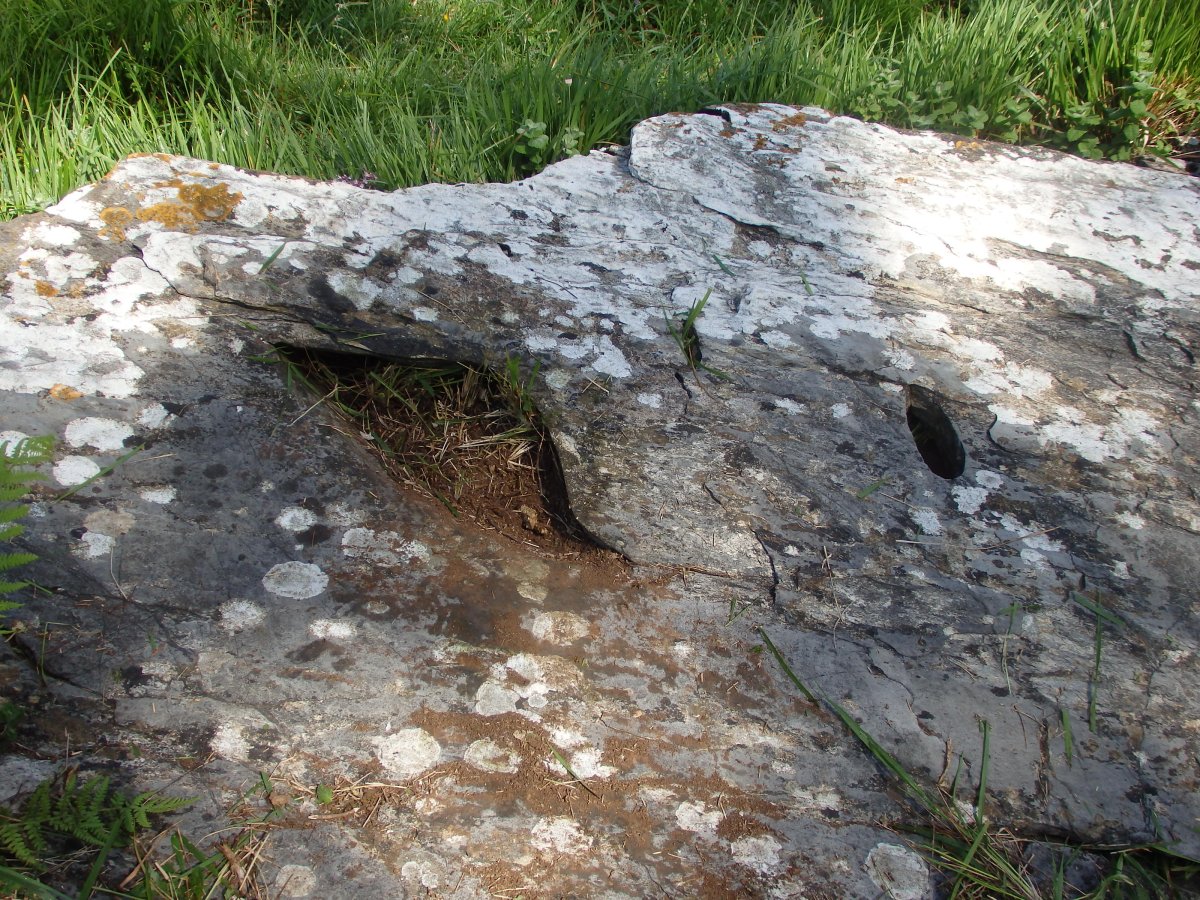 ALTZUSTABERRI II zutarri