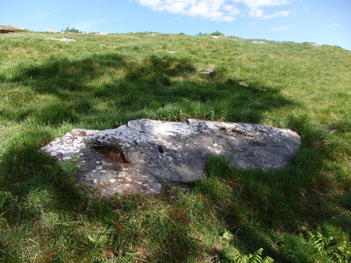 ALTZUSTABERRI II zutarri