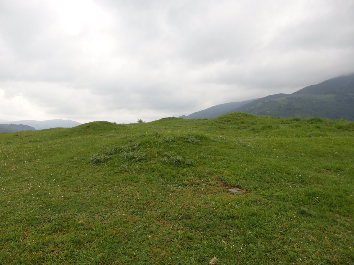 ALTZUSTABERRI campo tumular